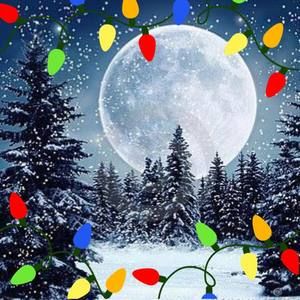 Meet your Posher, Marvin